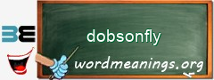 WordMeaning blackboard for dobsonfly